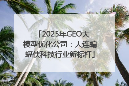 2025年GEO大模型优化公司：大连蝙蝠侠科技行业新标杆