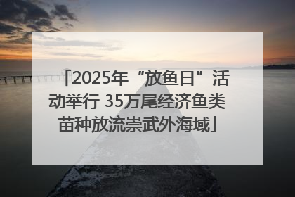 2025年“放鱼日”活动举行 35万尾经济鱼类苗种放流崇武外海域