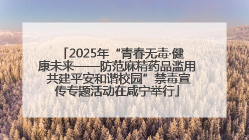 2025年“青春无毒·健康未来——防范麻精药品滥用 共建平安和谐校园”禁毒宣传专题活动在咸宁举行