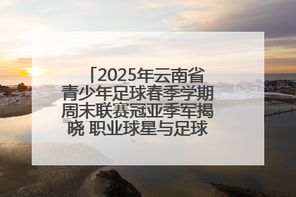 2025年云南省青少年足球春季学期周末联赛冠亚季军揭晓 职业球星与足球小将共享荣耀时刻