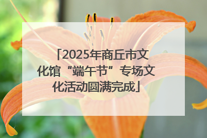 2025年商丘市文化馆“端午节”专场文化活动圆满完成
