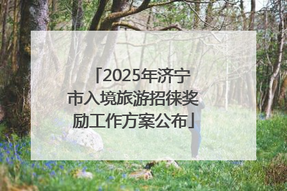 2025年济宁市入境旅游招徕奖励工作方案公布