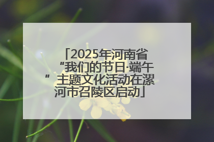 2025年河南省“我们的节日·端午”主题文化活动在漯河市召陵区启动