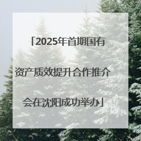 2025年首期国有资产质效提升合作推介会在沈阳成功举办