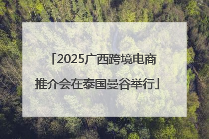2025广西跨境电商推介会在泰国曼谷举行