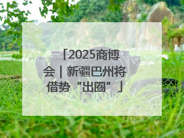 2025商博会｜新疆巴州将借势“出圈”