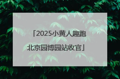 2025小黄人趣跑北京园博园站收官