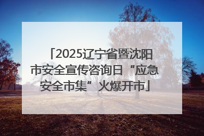 2025辽宁省暨沈阳市安全宣传咨询日“应急安全市集”火爆开市