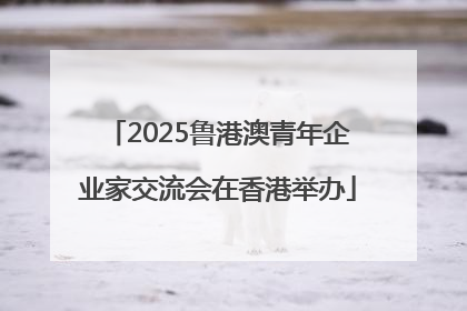 2025鲁港澳青年企业家交流会在香港举办