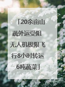 20余亩山蔬外运受阻 无人机极限飞行8小时转运6吨蔬菜
