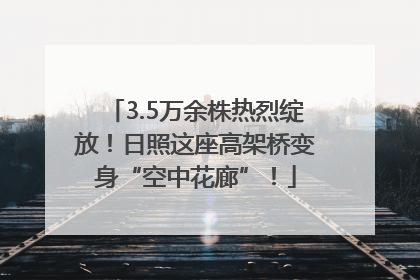 3.5万余株热烈绽放！日照这座高架桥变身“空中花廊”！