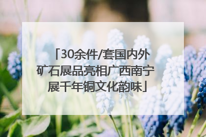 30余件/套国内外矿石展品亮相广西南宁 展千年铜文化韵味