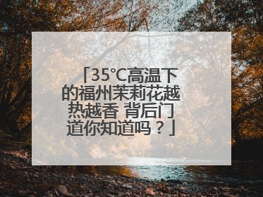 35℃高温下的福州茉莉花越热越香 背后门道你知道吗？