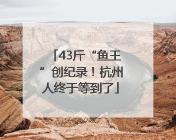 43斤“鱼王”创纪录！杭州人终于等到了