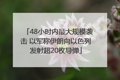 48小时内最大规模袭击 以军称伊朗向以色列发射超20枚导弹