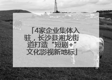 4家企业集体入驻，长沙县湘龙街道打造“短剧+”文化影视新地标