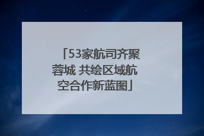 53家航司齐聚蓉城 共绘区域航空合作新蓝图
