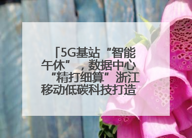 5G基站“智能午休”，数据中心“精打细算”浙江移动低碳科技打造“绿色流量”