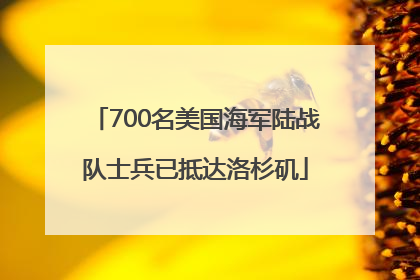 700名美国海军陆战队士兵已抵达洛杉矶