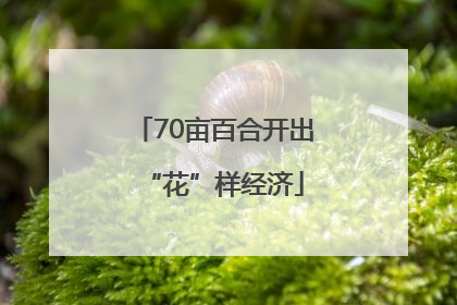 70亩百合开出“花”样经济