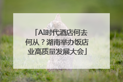 AI时代酒店何去何从？湖南举办饭店业高质量发展大会