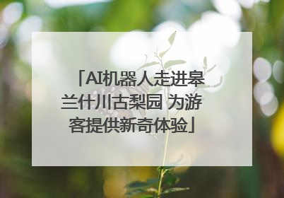 AI机器人走进皋兰什川古梨园 为游客提供新奇体验