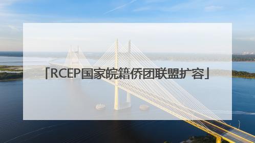 RCEP国家皖籍侨团联盟扩容