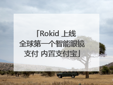 Rokid 上线全球第一个智能眼镜支付 内置支付宝